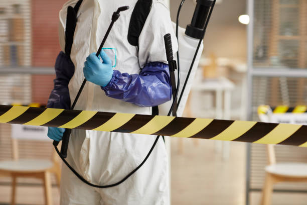 Professional Hoarding Cleanup technician working in Walnut Creek, NC